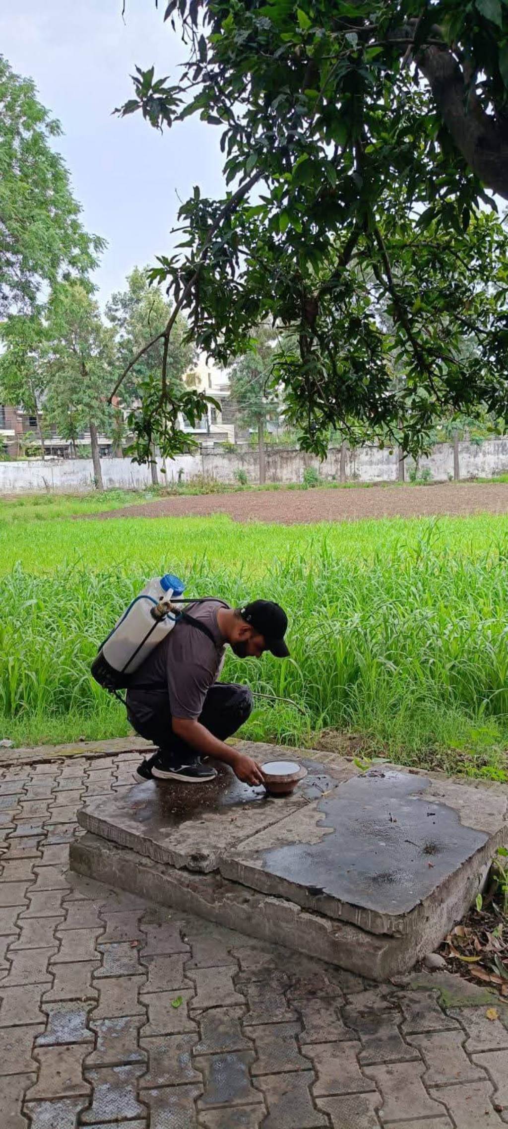 Special survey and awareness campaign for dengue prevention in Hoshiarpur